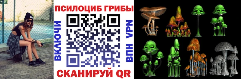 Псилоцибиновые грибы GOLDEN TEACHER  Мариинский Посад 